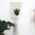 Cream Macramé Wall Hanging Planter styled with a small green potted plant against a white wall