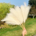 Artificial pampas grass bouquet in Style A