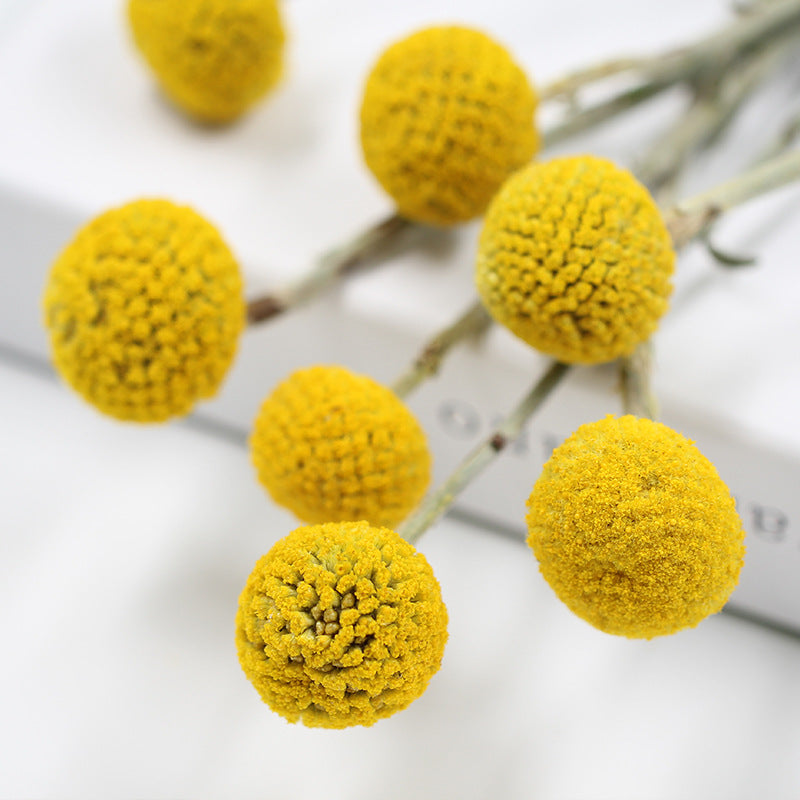 Dried golden billy ball bouquet – view 3
