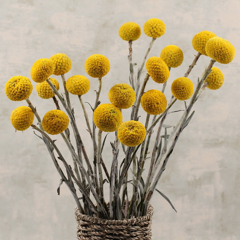 Dried golden billy ball bouquet – view 5